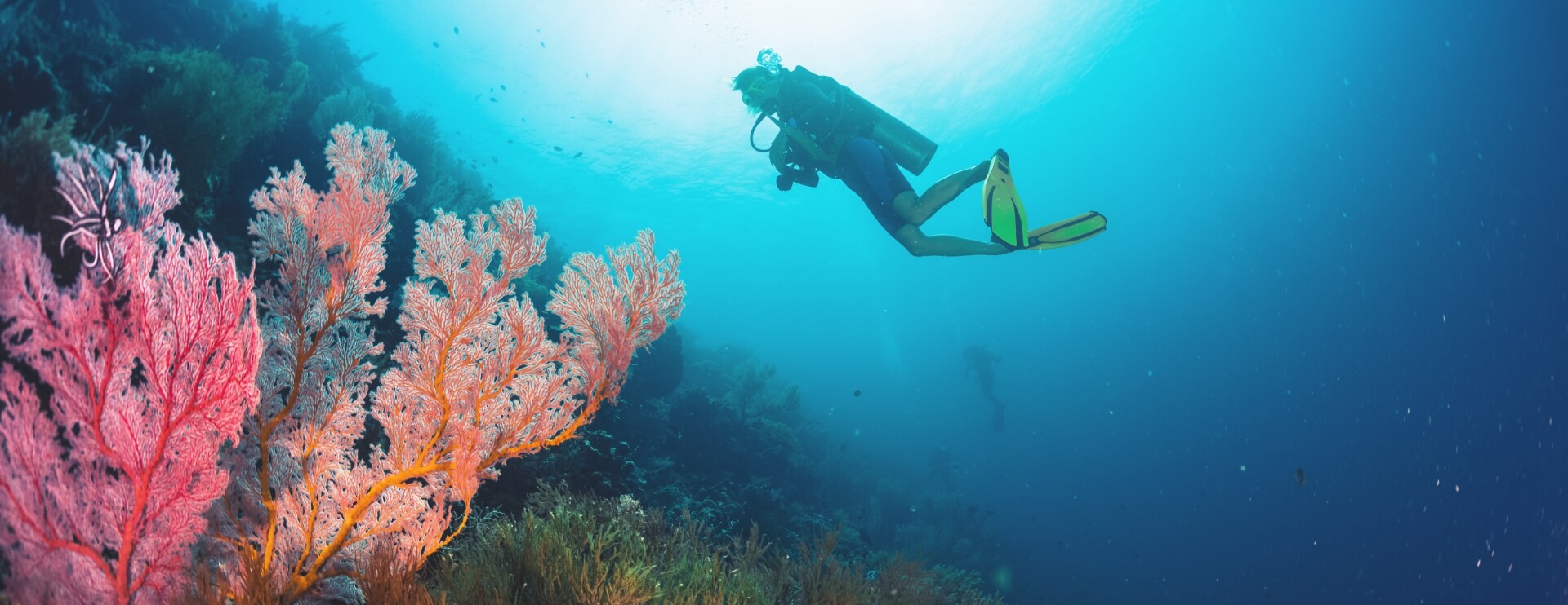 Pittsburgh Scuba Center Pittsburgh’s Best Dive Shop!